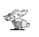 hase
