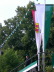 2007