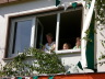 2007