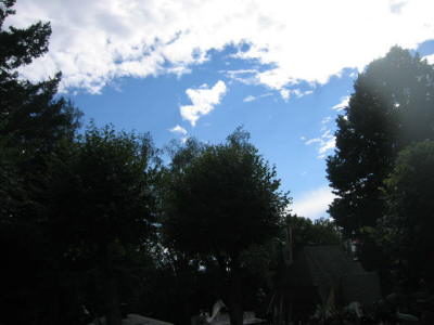 2008-07-19_165_SF-Sa_Zug_7te