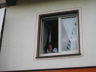 2008-07-20_0088_SF-So_Zug_7te_15h42