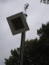 2008-07-21_0043_SF-Mo_Vogelschie�en_11h00