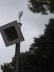 2008-07-21_0044_SF-Mo_Vogelschie�en_11h03