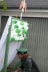 2008-07-22_055_Sackfest-Kolpinghs_19h28