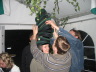 2008-07-23_351_Sackfest-Kolpinghs_03h33