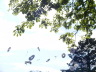 20090719__123_SF-So_17h01__Aufmarsch