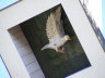 20100719_557_Olper-SF__10h15_