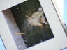 20100719_591_Olper-SF__10h44_