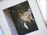 20100719_593_Olper-SF__10h45_