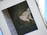 20100719_600_Olper-SF__10h46_