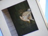 20100719_611_Olper-SF__10h48_